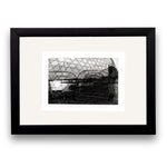 Nets, 2024 Framed