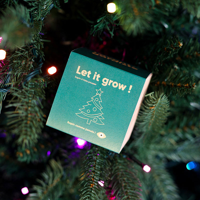 lavant-gardiste-fir-tree-to-grow-eco-cube-christmas-mudamstore
